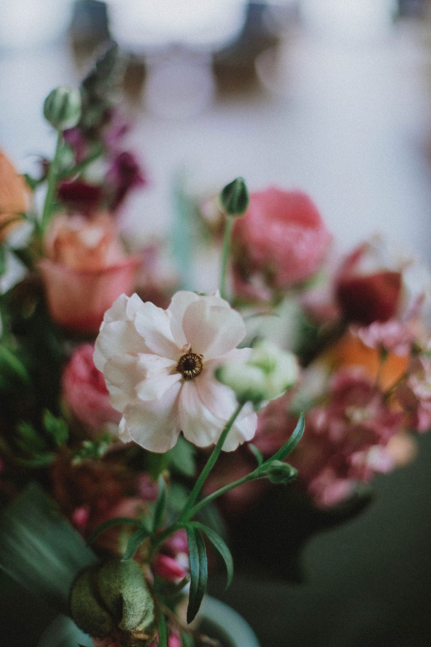 Cursus & coaching 2026// Floral design // Groep, online & offline // €345,00