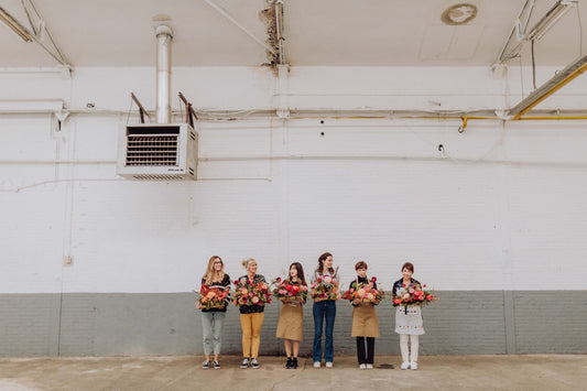 Workshop // Kerstkrans // 7 & 14 december 2025 // €49,50 // @Studio Haarlem