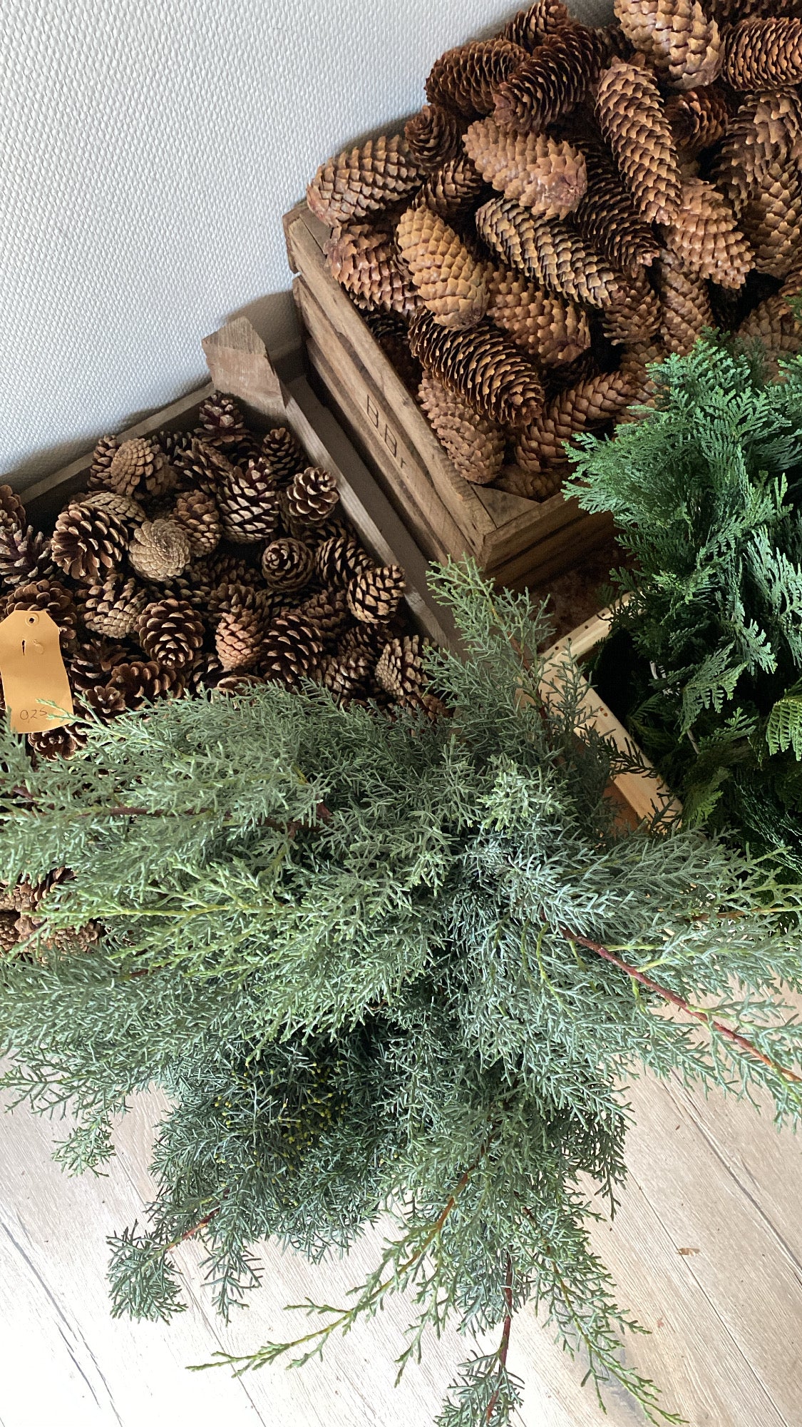Workshop // Kerstkrans // 7 & 14 december 2025 // €49,50 // @Studio Haarlem