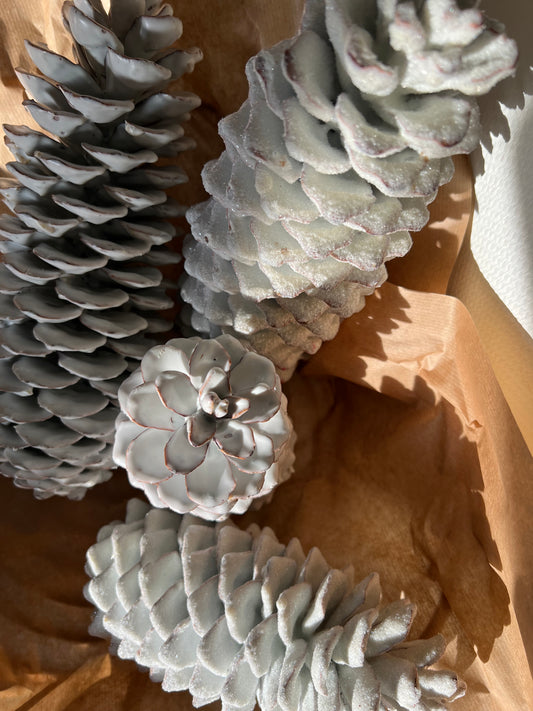 Kerst // dennenappels wit XXL