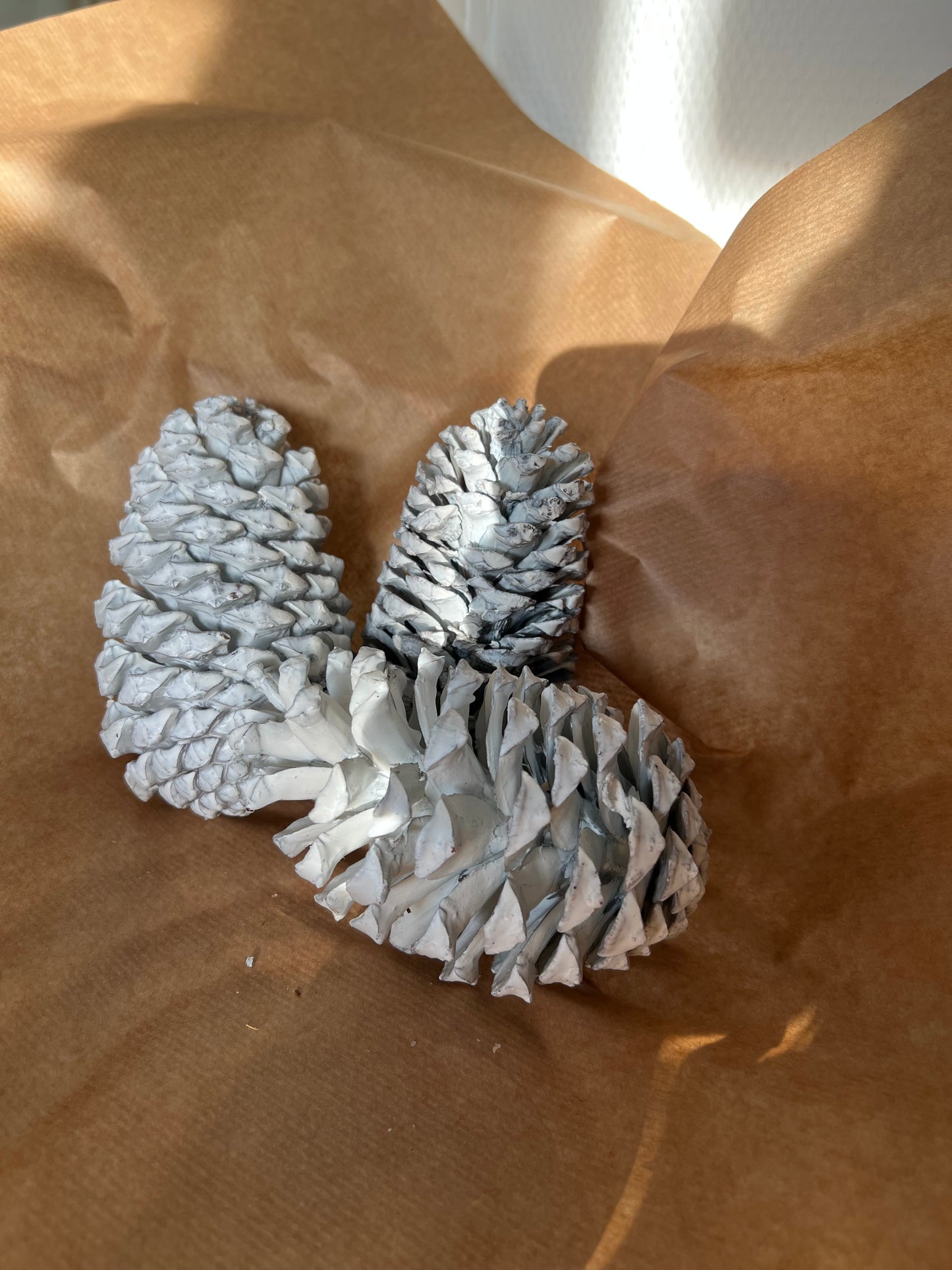 Kerst // witte glans dennenappels XL