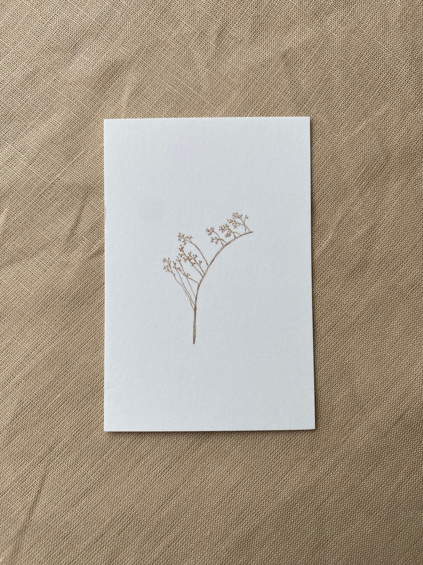 Kaartje label ‘rozenbottel’