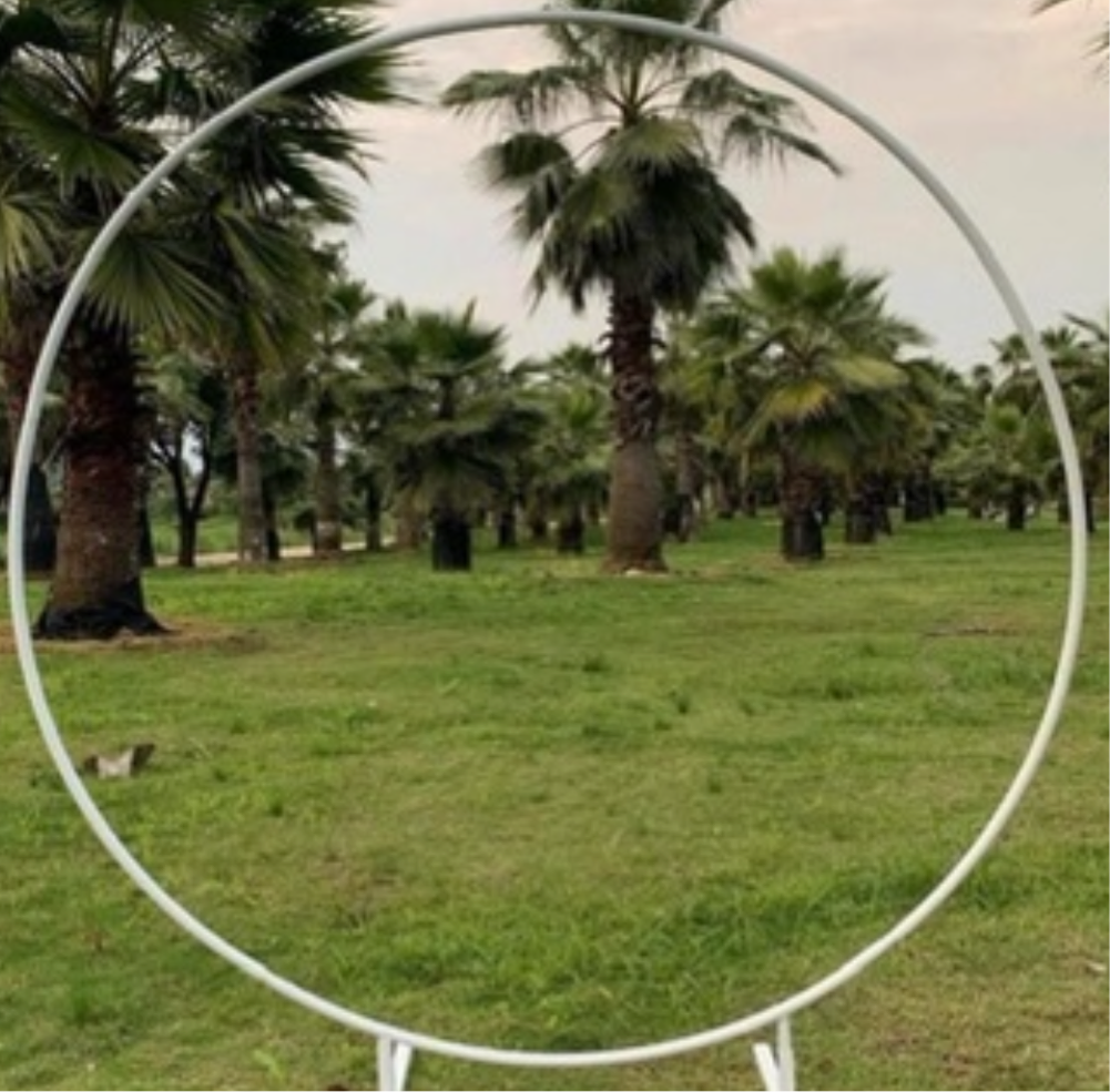 Backdrop // rond wit