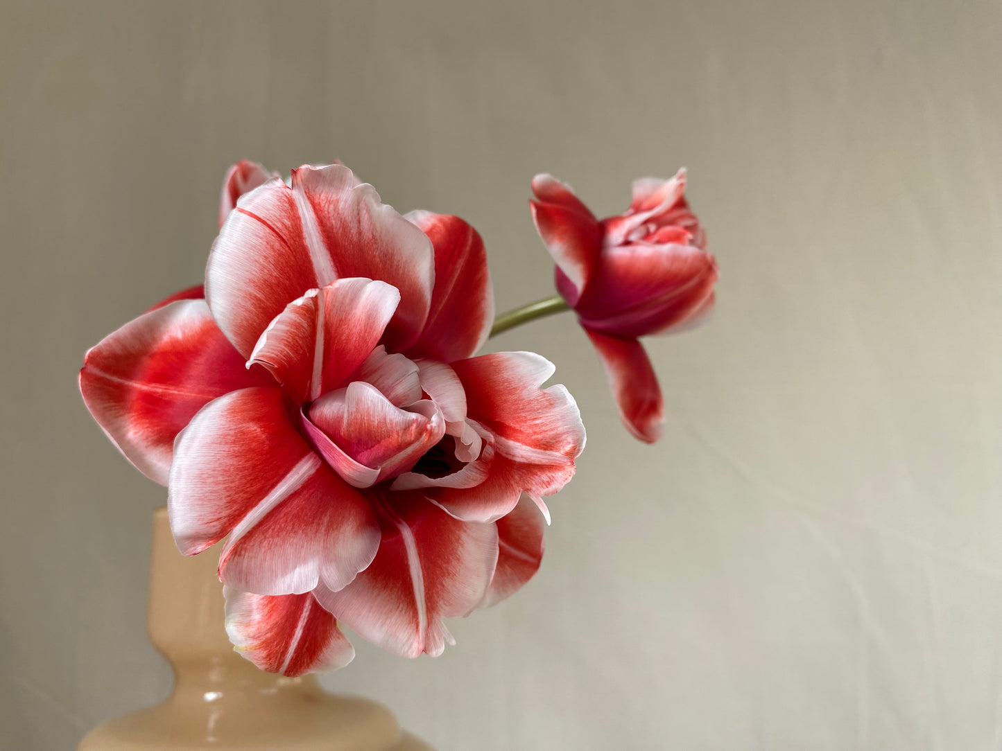 Cadeaubon online winkel & bloemen