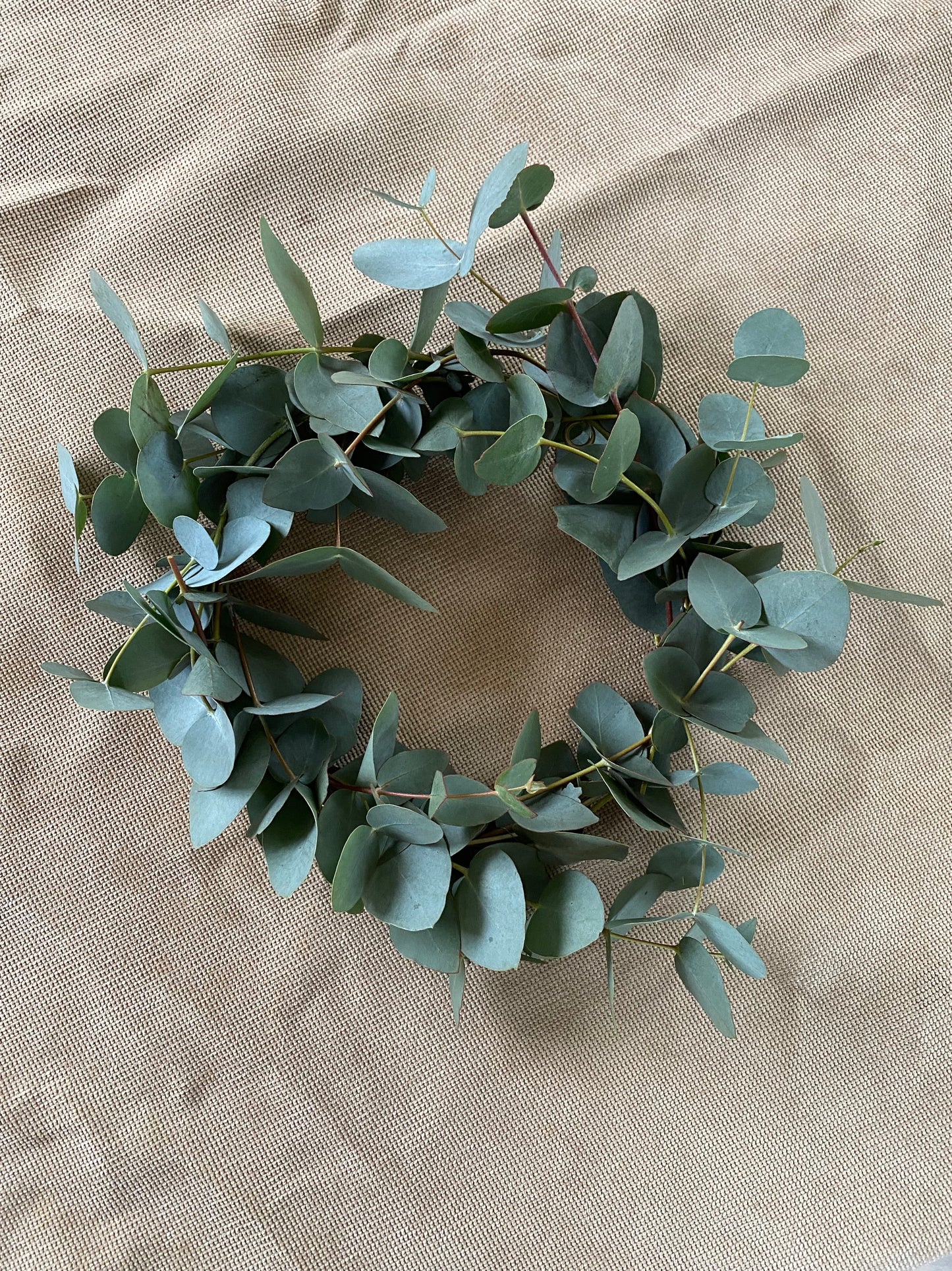 Workshop // Kerstkrans // 7 & 14 december 2025 // €49,50 // @Studio Haarlem