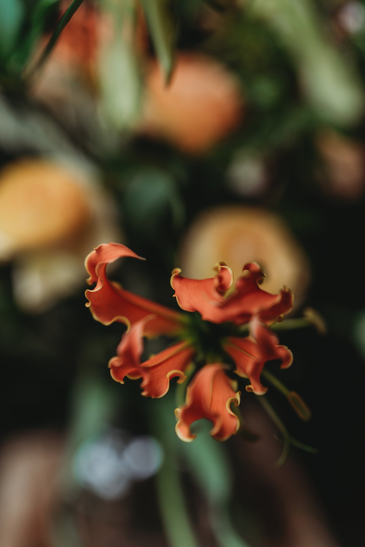 Bloemen abonnement