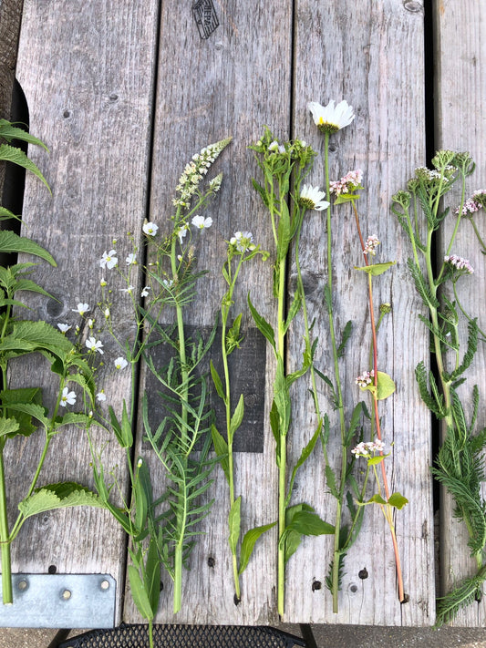 Uitvaart design // Losse bloem(en)