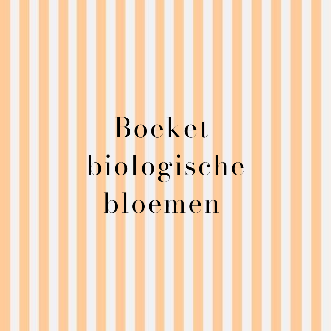 Boeket van 100% biologische bloemen